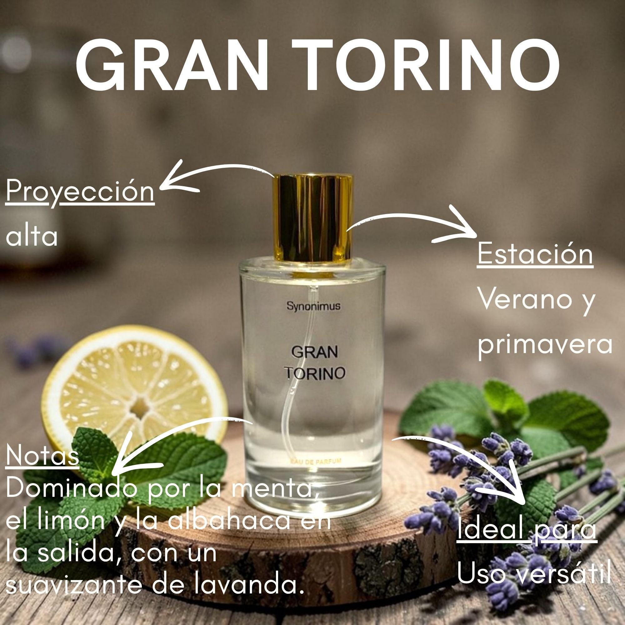 Gran Torino Edp 100ml
