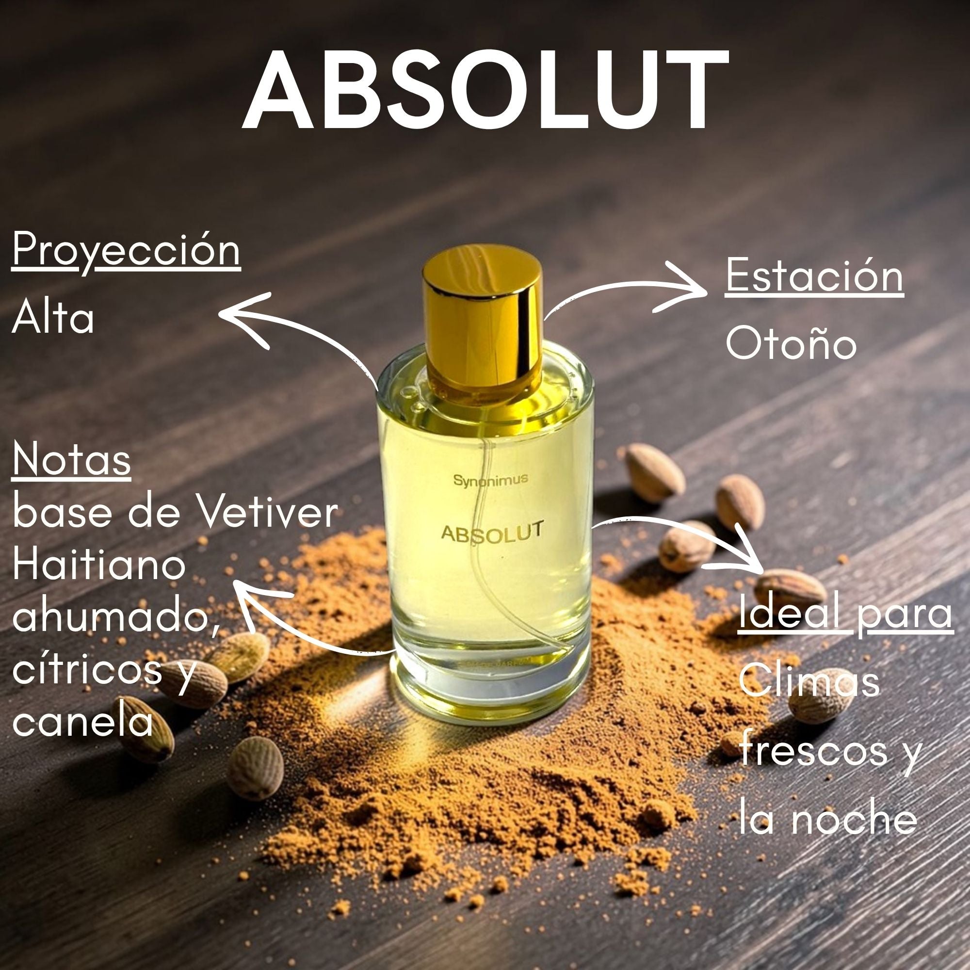 Absolut Edp 100ml