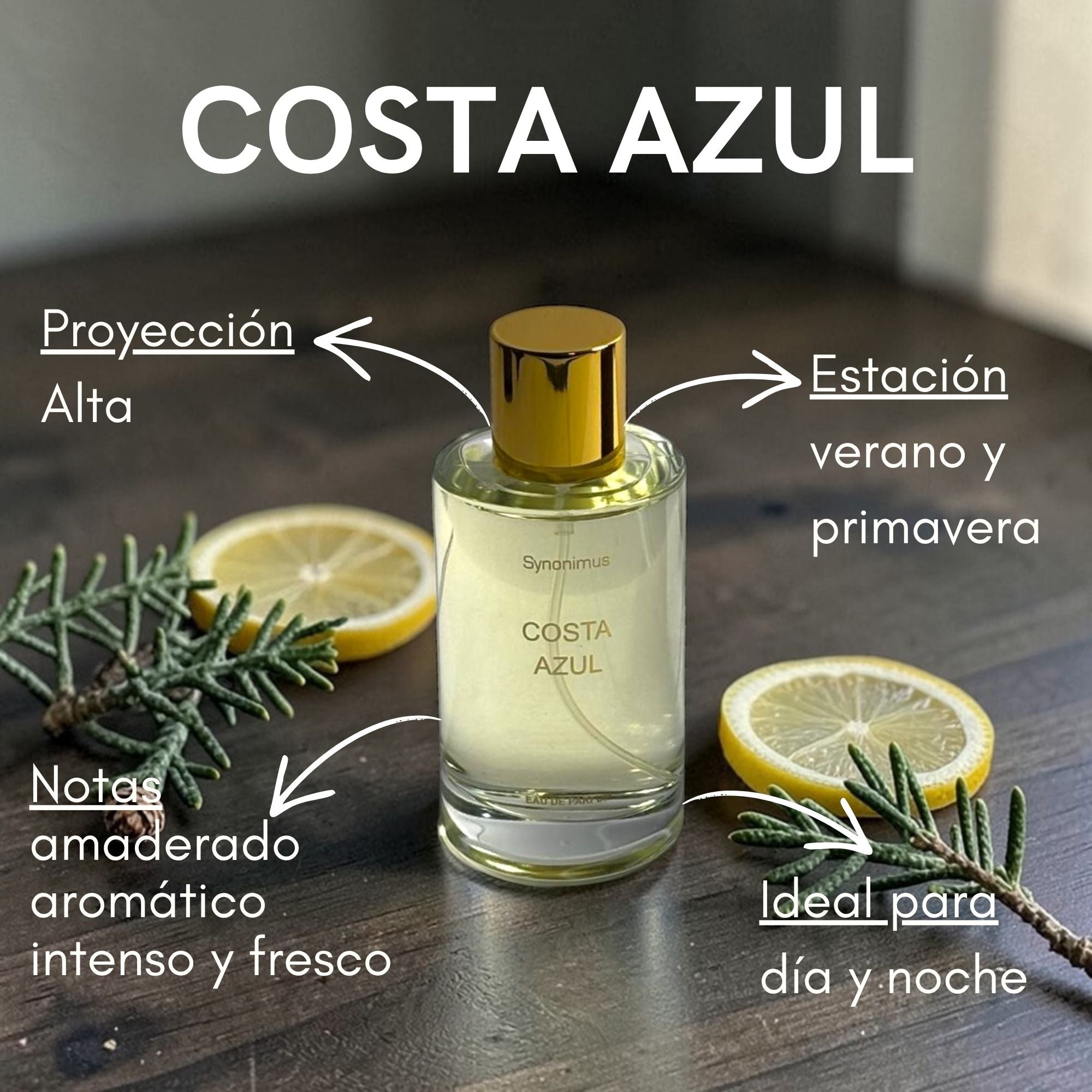 Costa Azul Edp 100ml