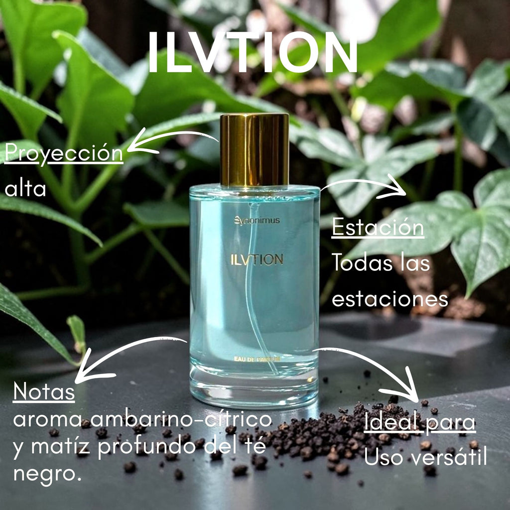 Ilvition Edp 100ml