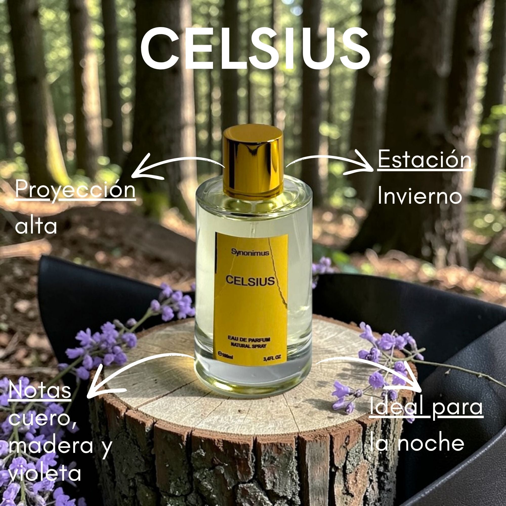 Celsius Edp 100ml