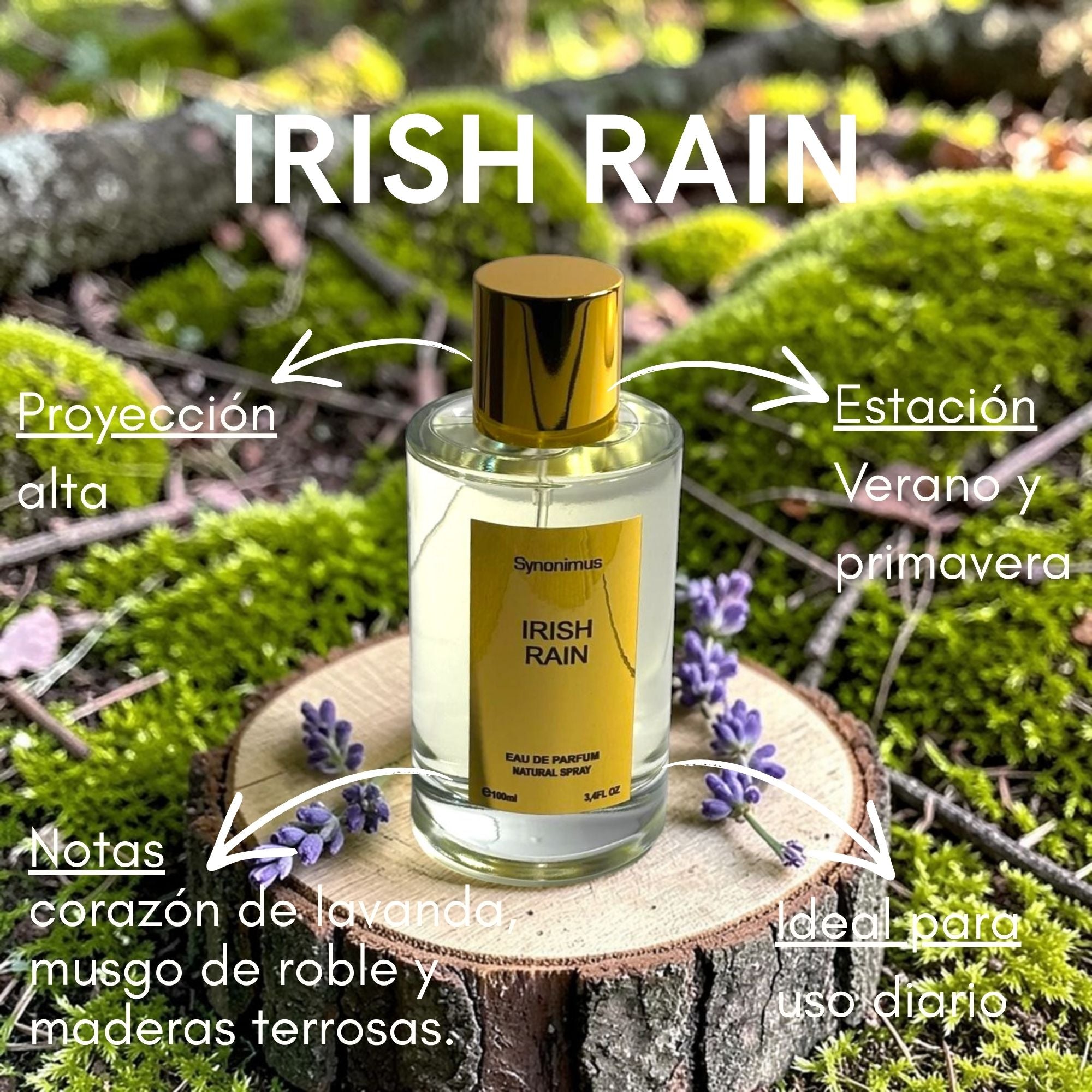 Irish Rain Edp 100ml